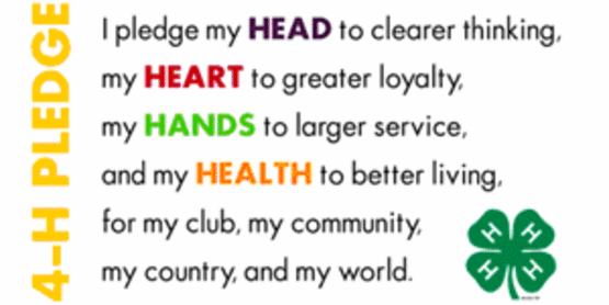 4-H Pledge: I pledge my head to clearer thinking, my heart to greater loyalty, my hands to larger service, and my health to better living, for my club, my community, my country, and my world.
