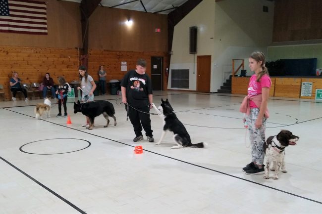 4Hers standing in line during dog obedience course