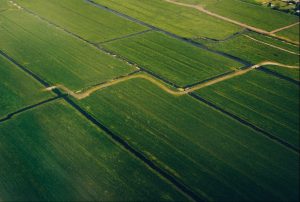 Take Your PAT Exam in Oneida County