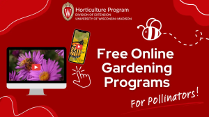 Upcoming Online Gardening Programs for Pollinators