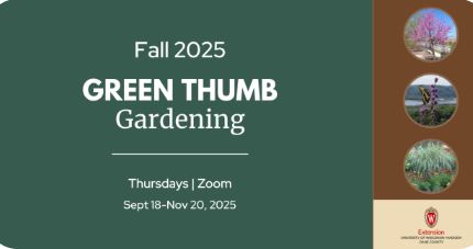 Green Thumb Gardening Fall 2025 – Spring Bulbs