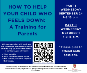 How to Help Your Child Who Feels Down: A Training for Parents
