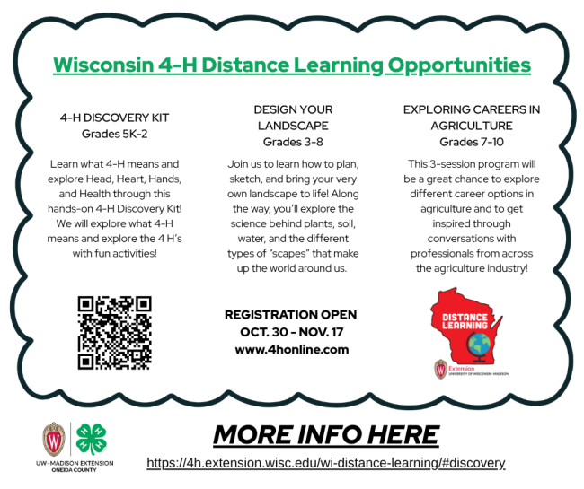 Wisconsin 4-H Distance Learning Opportunities