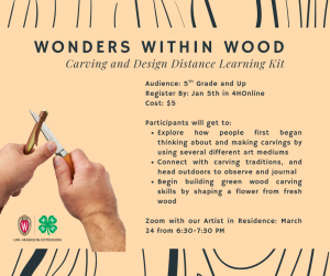 Wisconsin 4-H Distance Learning: Wonders Within Wood