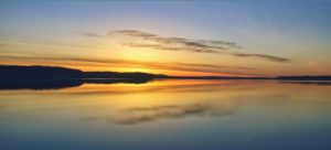 Spring Forward: Energize & Nourish