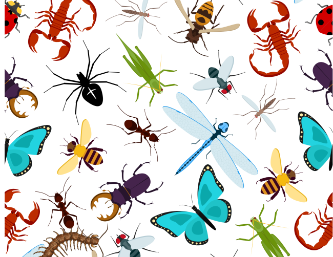 What’s BUGGING You?