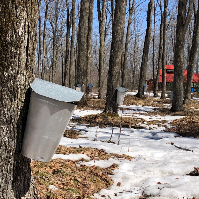 Kemp Station Maple Sugaring Demonstration Day
