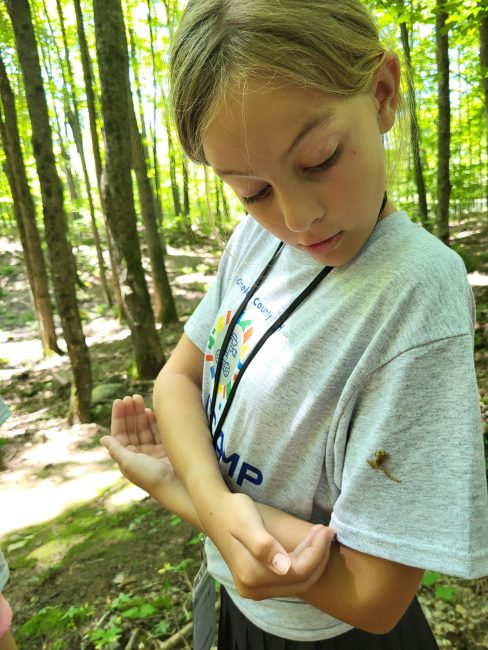 A youth stands in the woods and crosses her arms to catch a spider crawling on her sleeve.